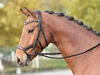 BUSSE Trense Feeling Trensenzaum Ledertrense mit Zügel Produktbild-Vorschau 4