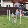 PawHut Hunde Agility Training Slalomstangen für Haustiere Produktbild-Vorschau 2