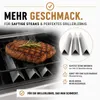 Aromaschienen 3 Stück I 7635 Weber Spirit 210 220 E210 S210 Produktbild-Vorschau 5