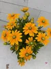 Rudbeckia - Sunbeckia® Ophelia - Sonnenhut Ophelia Produktbild-Vorschau 2