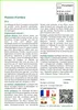 SAFLAX  - Plantes d'ombre - 1000 graines - Mix Voir les images du produit 3