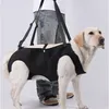 A person is helping a dog stand up using a black mobility harness. Produktbild-Vorschau