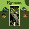 Repiterra® Hochterrarium Chamäleon Holzterrarium OSB Holz Produktbild-Vorschau 5