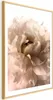 Posterpapier Poster - Soft Petals 21x30 cm Blumen Produktbild-Vorschau 1