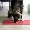 A dog eating food from a red mat. Produktbild-Vorschau