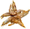 Delicias Naturales Para Perros: Gambas Desecadas, 50G, Vista previa de la imagen del producto 3