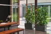 LECHUZA Vase à plantes CARARO Premium Anthracite Métallisé Voir les images du produit 3