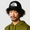 THE NORTH FACE TNF LOGO TRUCKER TNF Black-TNF White Produktbild-Vorschau 9