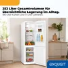 Exquisit Kühl-Gefrierkombination 253 l No Frost | Produktbild-Vorschau 5