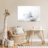 MuchoWow® Poster Katze - Weiß - Großaufnahme 60x40 cm - Produktbild-Vorschau 7