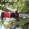 Einhell Power X-Change GE-LC 18 Li T-Solo potatore ad asta Anteprima dell’immagine prodotto 24