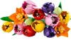LEGO BOTANICALS 11501 Bouquet de tulipes Voir les images du produit 40