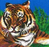 Stick it®  Tiger ca. 5.000 Teile mit XXL-Steckvorlage Produktbild-Vorschau 1