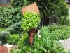 Sac à plantes rouille noble 40 cm avec tige, sacs en Voir les images du produit 1