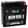 BS BATTERY SLA Batterie sans entretien activée en usine - Voir les images du produit 3