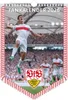 VfB Stuttgart 2026 Banner-Kal./Fan-Kal. 29,7x42 Produktbild-Vorschau 1