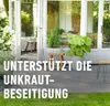 Grundstoff Essig COMPO  Unkrautbeseitigung Essig 3 l, Produktbild-Vorschau 5
