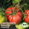 Samenliebe  Tomate Samen | Costoluto Fiorentino - rot & Produktbild-Vorschau 4