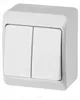 Elektro-Plast | Interruttore Doppio Hermes - Bianco - IP44 Anteprima dell’immagine prodotto 4