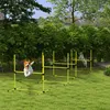 PawHut Agility – sada překážek a slalomových tyčí pro Náhled obrázku produktu 10