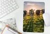 MuchoWow® Mauspad Mousepad Kühe - Sonne - Gras - Tiere - Produktbild-Vorschau 5
