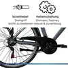 Zündapp Z802 E Bike 28 Zoll Trekkingrad grau/grün Produktbild-Vorschau 7