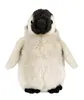 A plush toy penguin chick is shown from the front against a white background. Anteprima dell’immagine prodotto