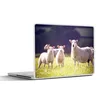 MuchoWow® Laptop Aufkleber Sticker Cover Schaf - Lamm - Produktbild-Vorschau 1