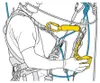 Petzl Zariadenie na zachytenie pádu Asap Lock B071BA00 Náhľad obrázku produktu 8