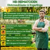 POWER HB-Nematoden gegen Dickmaulrüssler & Engerlinge, 5 Produktbild-Vorschau 3