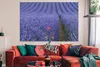 MuchoWow® Poster Lavendel - Mohn - Blumenwiese 180x120 cm - Produktbild-Vorschau 2