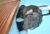 Interline poolroboter Walking Catfish 2.0 Produktbild-Vorschau 3