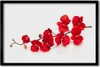 Bild 60x40 MDF-Rahmen Wandkunst Blumen Pflanzen Produktbild-Vorschau 1