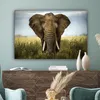 MuchoWow® - Leinwandbilder - Elefant - Natur - Gras - Tiere Produktbild-Vorschau 4