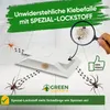 Spinnen Klebefalle mit Spezial-Lockstoff – 3x Fallen – Produktbild-Vorschau 4