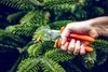 Original LÖWE 5 kleine Amboss Gartenschere mit spitzer Produktbild-Vorschau 2