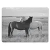 MuchoWow® Mauspad Mousepad Pferde - Tiere - Porträt - Produktbild-Vorschau 1