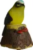 OOTB Bewegungsmelder Vogel mit Tierstimme Produktbild-Vorschau 5