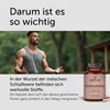 BODYLAB Ashwagandha Pulver - 150 Kapseln Produktbild-Vorschau 3