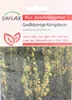 SAFLAX - Großblumige Königskerze - Verbascum densiflorum - Produktbild-Vorschau 7