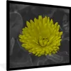 MuchoWow® Gerahmtes Poster Blumen - Aquarell - Löwenzahn Produktbild-Vorschau 1