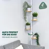 bremermann Zusatz-Pflanzenteller für Teleskop-Blumenregal Produktbild-Vorschau 6