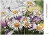 Diamondi - Diamond painting - KAMILLE AUF EINER WIESE, Produktbild-Vorschau 3