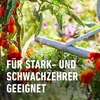 COMPO  Hochbeetdünger - 1 Liter Produktbild-Vorschau 5