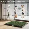 Hundetoilette 63 x 50,5 cm Hundeklo mit 2 Kunstrasen Produktbild-Vorschau 7