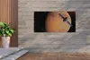 MuchoWow® Produktbild-Vorschau 2