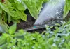 Micro-Drip-System Endstreifendüse, 5 Stück (schwarz/türkis, Produktbild-Vorschau 9