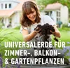 COMPO SANA® Qualitäts-Blumenerde 50 % weniger Gewicht 40 Produktbild-Vorschau 6