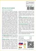SAFLAX - Africký strom baobab - Adansonia digitata - 6 Náhľad obrázku produktu 3