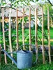 Staketenzaun Haselnuss 5m natur Gartenzaun Haselholz 80 cm Produktbild-Vorschau 2